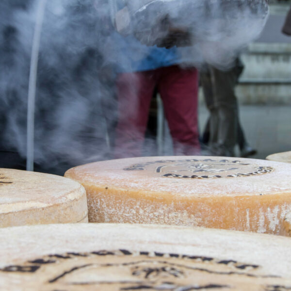 BiancoLatte - ph. Marco Benedetto Cerini (10)