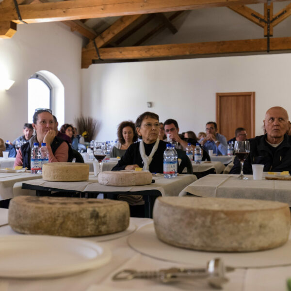 BiancoLatte - ph. Marco Benedetto Cerini (15)