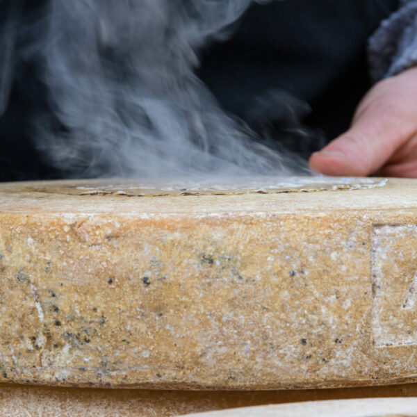 BiancoLatte - ph. Marco Benedetto Cerini (9)