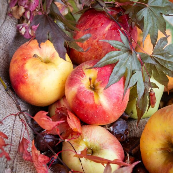 Baceno_Sagra_Mele_Miele