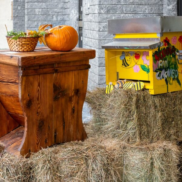 Baceno_Sagra_Mele_Miele