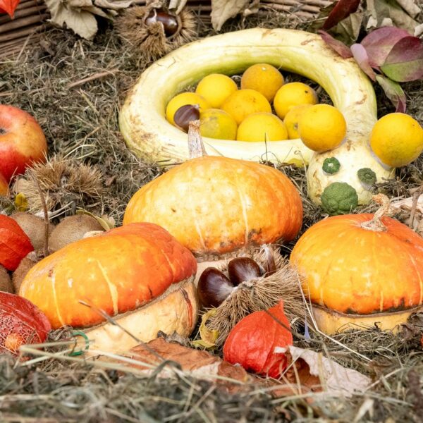 Baceno_Sagra_Mele_Miele